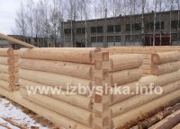 способ рубки сруба, лапа